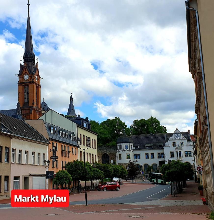 Ferienwohnung "Blick Mylau" - Naehe Freizeitpark Plohn & Weltgroesster Ziegelsteinbruecke Reichenbach im Vogtland Exteriér fotografie