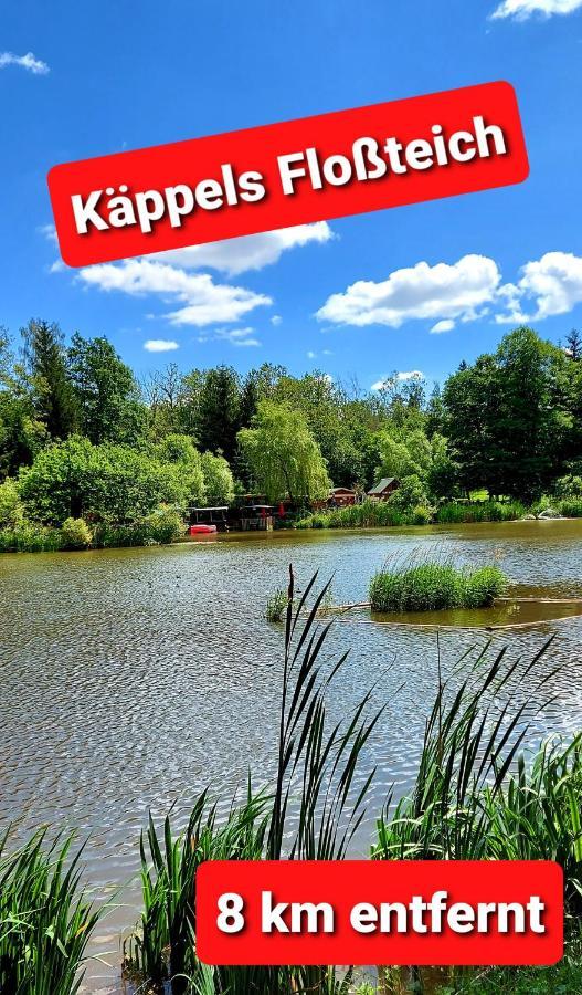 Ferienwohnung "Blick Mylau" - Naehe Freizeitpark Plohn & Weltgroesster Ziegelsteinbruecke Reichenbach im Vogtland Exteriér fotografie
