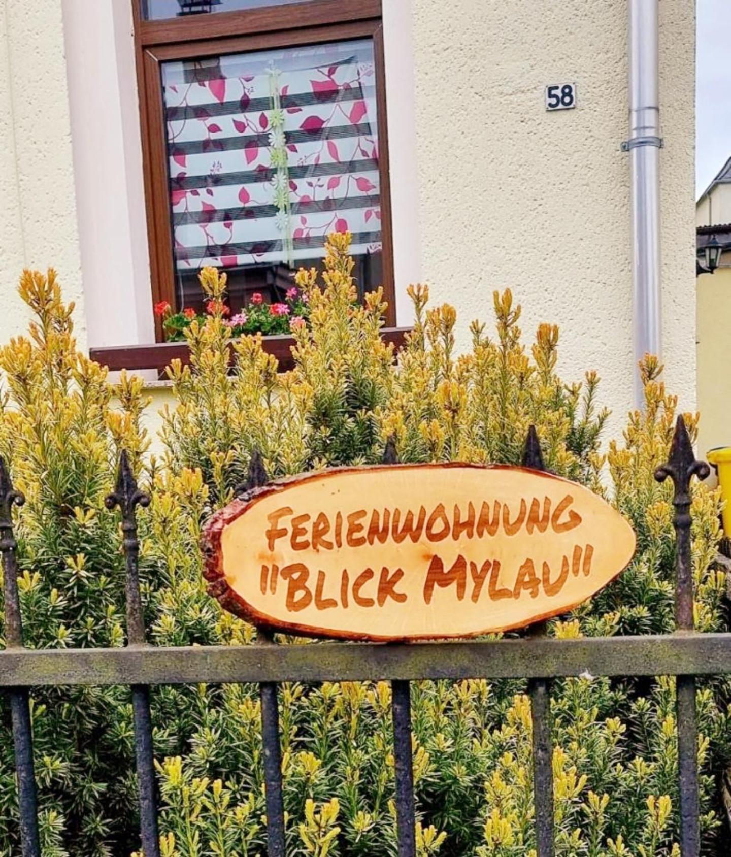 Ferienwohnung "Blick Mylau" - Naehe Freizeitpark Plohn & Weltgroesster Ziegelsteinbruecke Reichenbach im Vogtland Exteriér fotografie