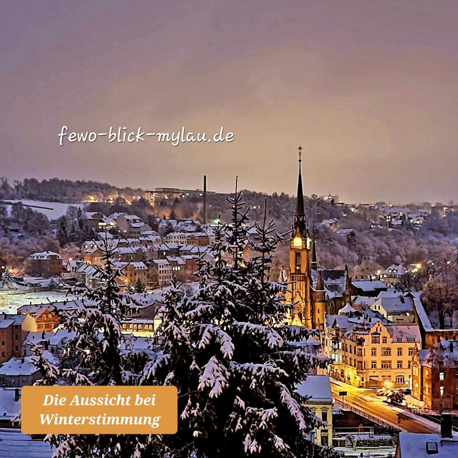 Ferienwohnung "Blick Mylau" - Naehe Freizeitpark Plohn & Weltgroesster Ziegelsteinbruecke Reichenbach im Vogtland Exteriér fotografie